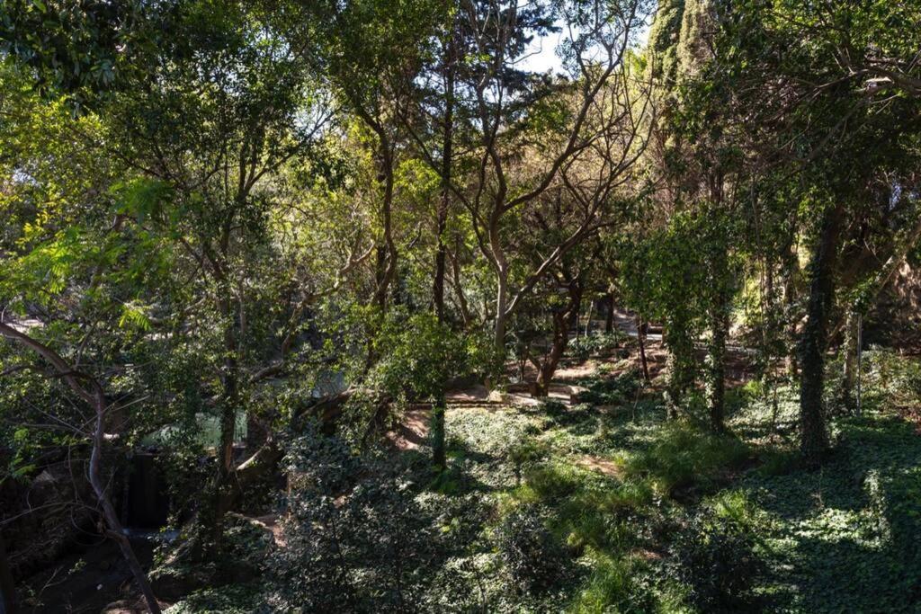 Rodini Park Apartment Rhodes City Kültér fotó